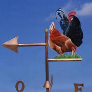 Coq et poule de face