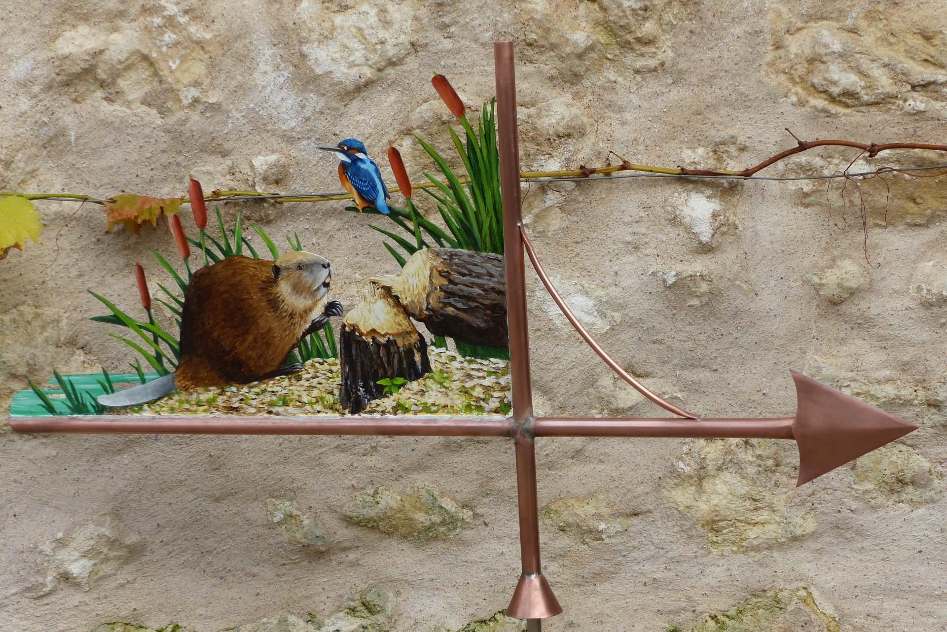 Castor et Martin pêcheur